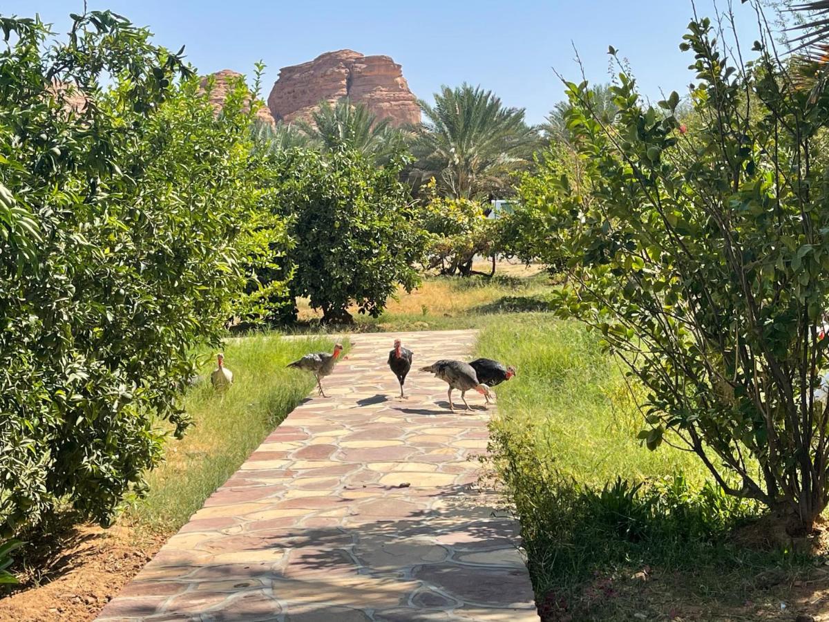 Naseem Country House Al-ʿUla Esterno foto