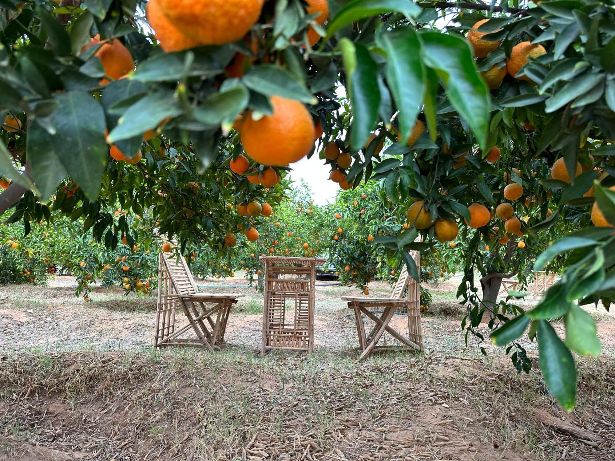 Hotel Naseem Country House Al-ʿUla Esterno foto