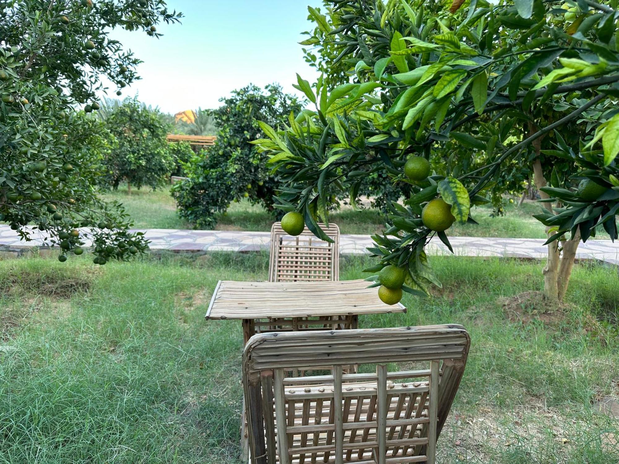 Naseem Country House Al-ʿUla Esterno foto