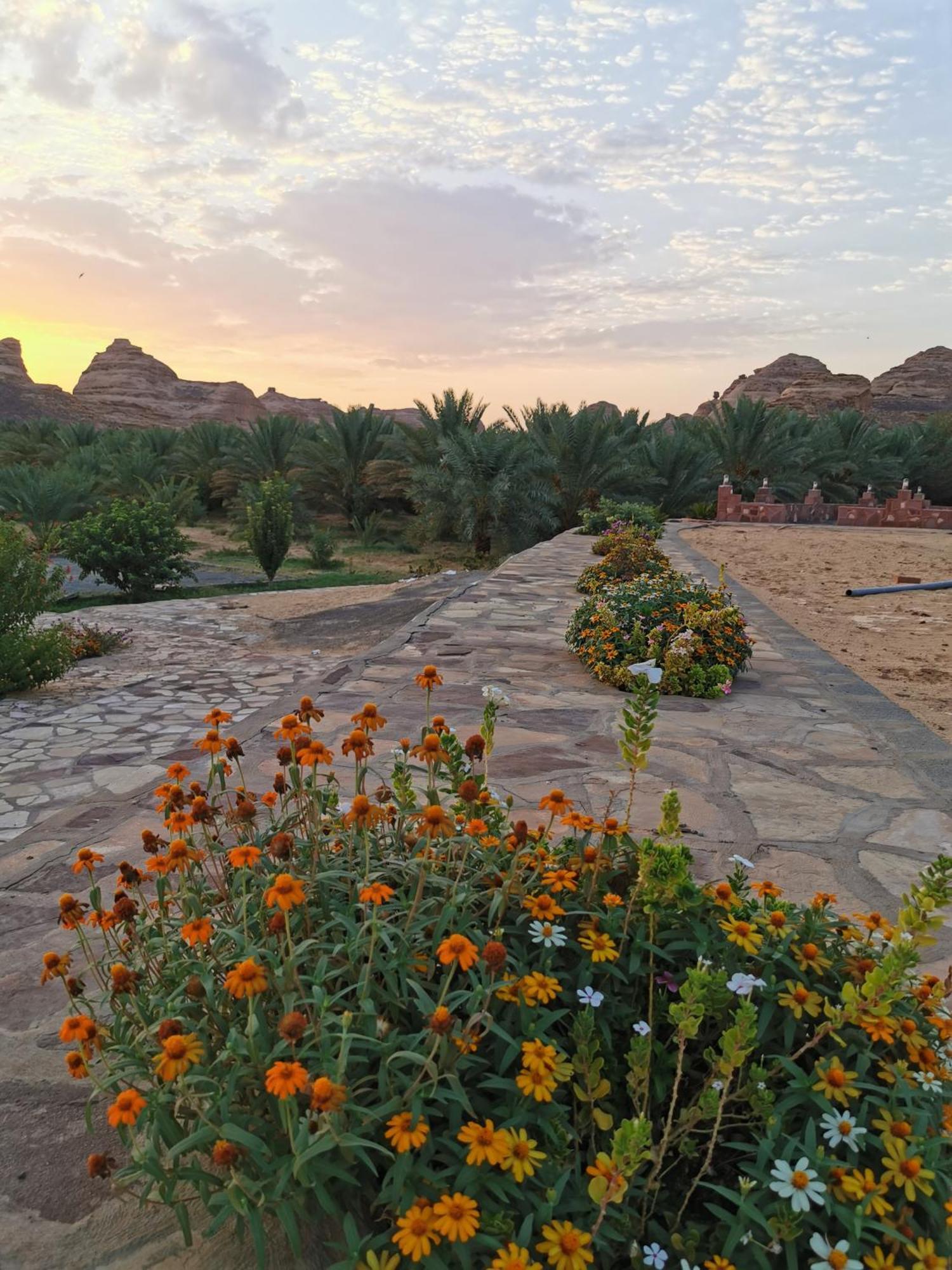Naseem Country House Al-ʿUla Esterno foto